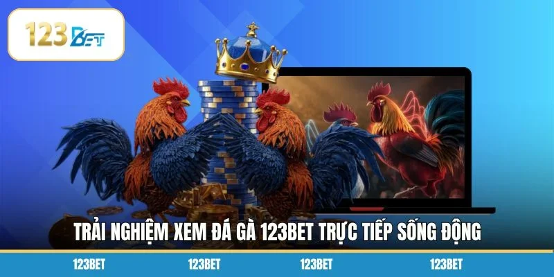 Trải nghiệm xem đá gà 123bet trực tiếp sống động 